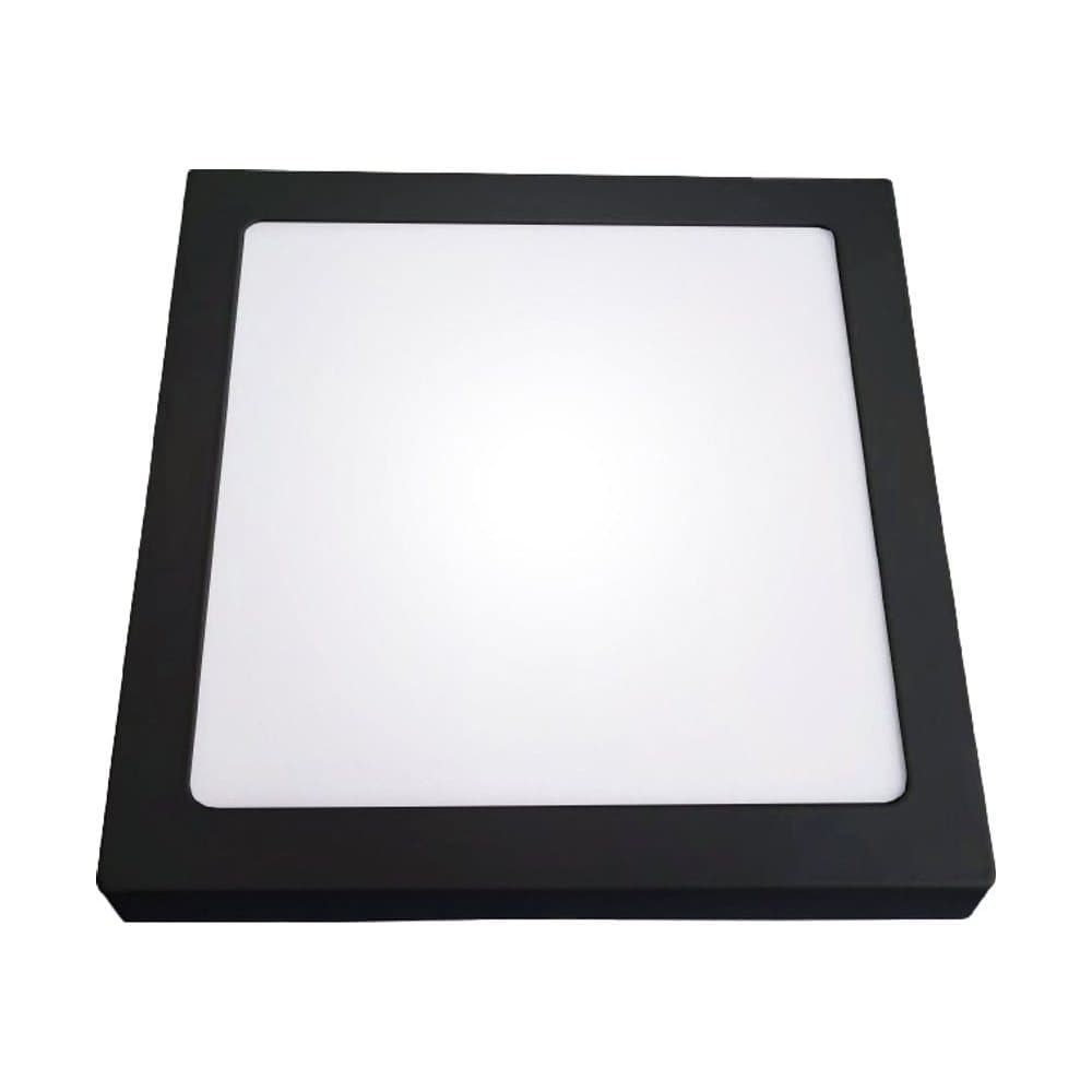 Black 6551
