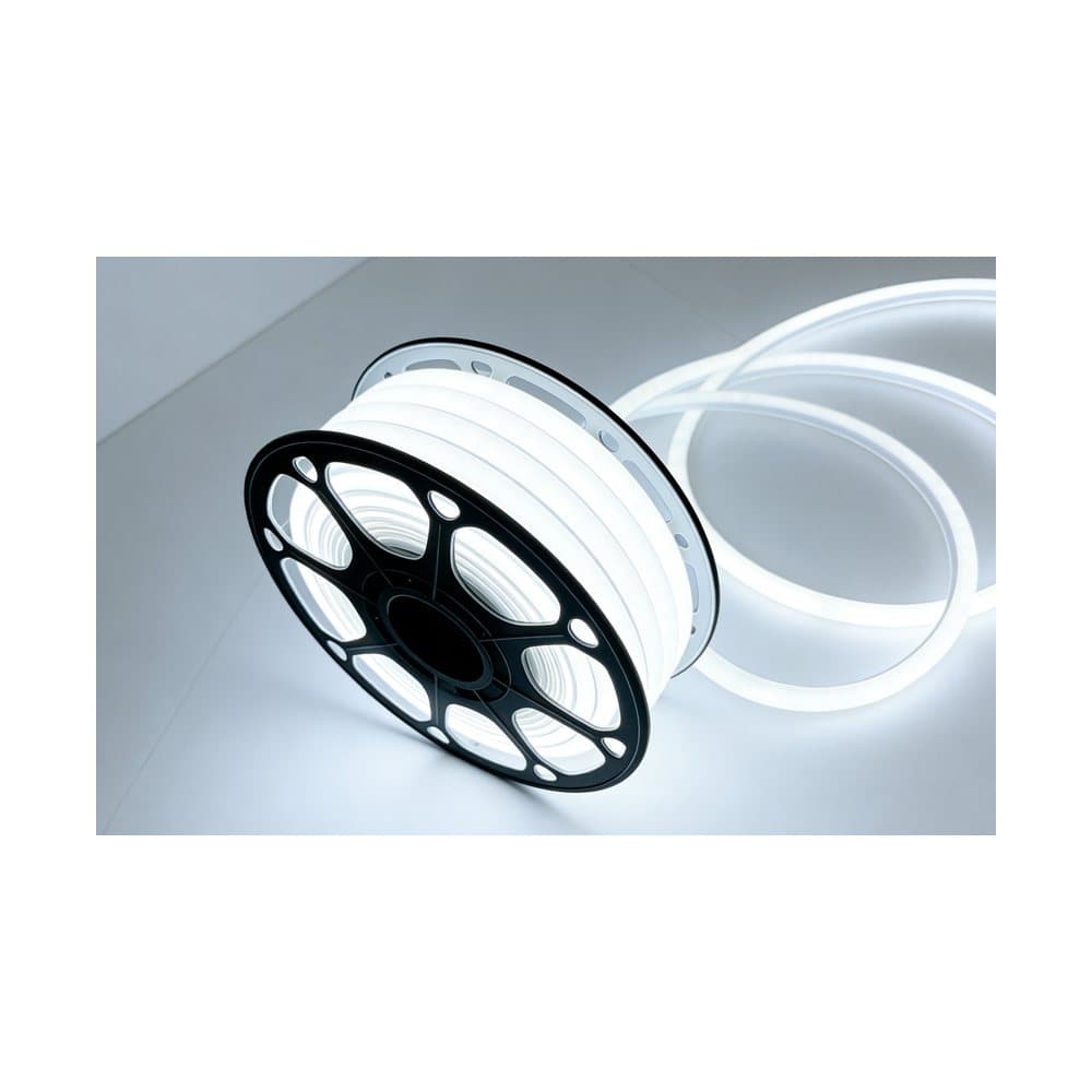 NEON 220V 6500K